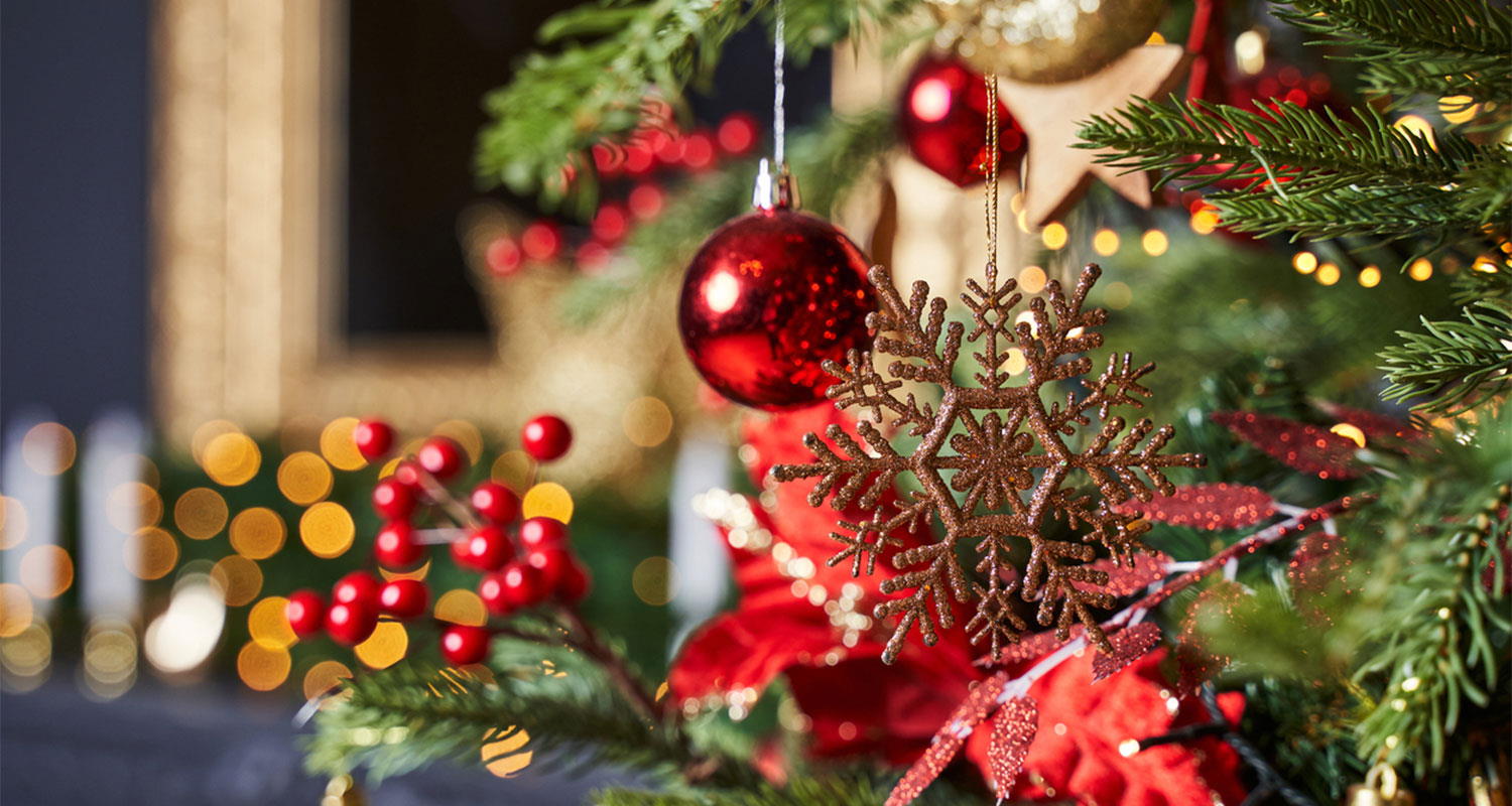 Daycare in Greenville, North Carolina